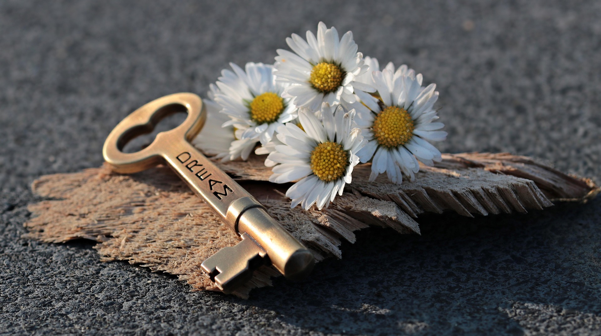 key-3087900_1920